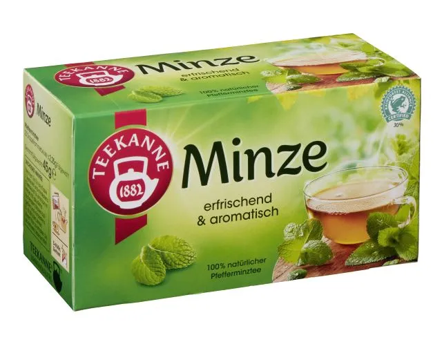 Teekanne Minze 20 x 2,25g Tassenportion | CaterPoint.de