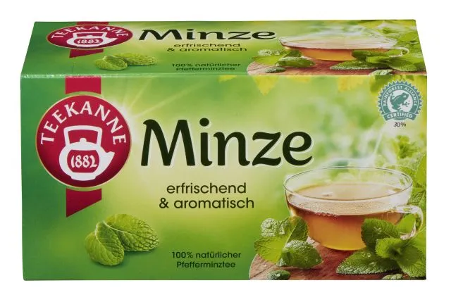 Teekanne Minze 20 x 2,25g Tassenportion | CaterPoint.de