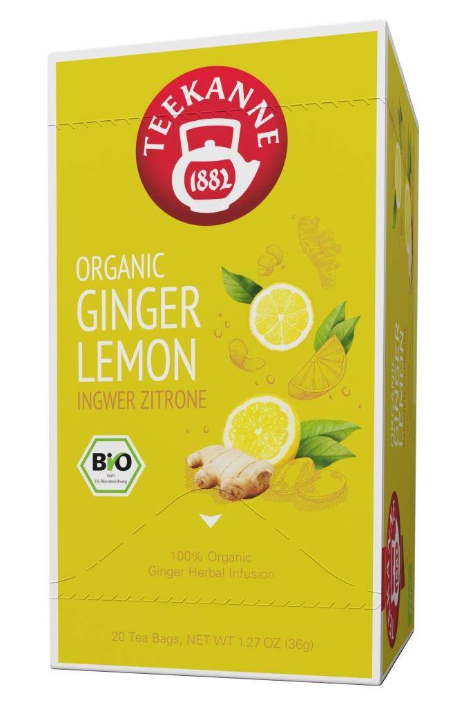 Teekanne Gastro Organic Bio Ingwer Zitrone 20er