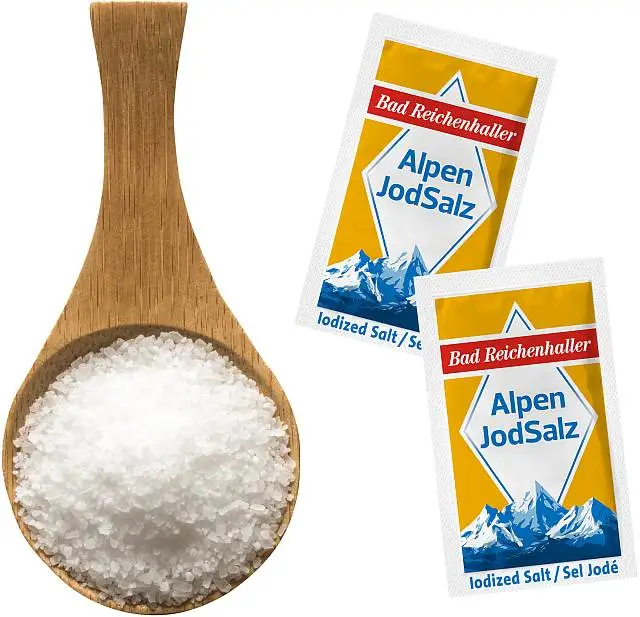 Bad Reichenhaller Jodsalz 2.000 Portionen a 1g | CaterPoint.de