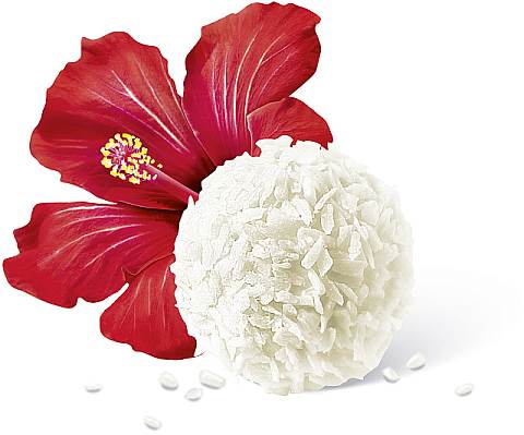 Raffaello Pralinen 285 x 1 Stück | CaterPoint.de