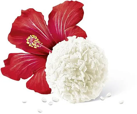 Raffaello Pralinen 285 x 1 Stück | CaterPoint.de Raffaello Pralinen 285 x 1 Stück | CaterPoint.de