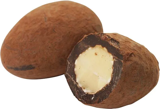 Hellma Mandel in Kakaohülle | CaterPoint.de Hellma Mandel in Kakaohülle | CaterPoint.de